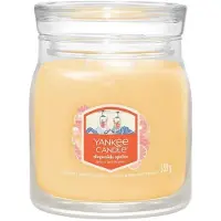 Yankee candle Slopeside Spritz bougie parfumée Signature 368 g