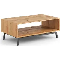 Feldmann-Wohnen Table basse Modern Loft Table de salon 101x60x41cm Bois massif huilé Couleur au choix Chêne naturel