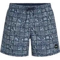 O'Neill Print 16´´ Swimming Shorts Bleu L Homme
