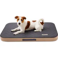 DOTTY Matelas orthopédique pour chiens, mousse à mémoire de forme VISCO Lit orthopédique pour chiens Couleur Graphite Taille S (60 cm x 45 cm)