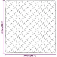 vidaXL Couverture d'hiver 200 x 220 cm, couleur anthracite, respirante