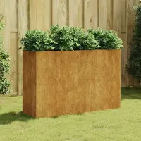 Prolenta Maison Exclusive - Jardinière surélevée en acier Corten, dimensions 120 x 40 x 80 cm
