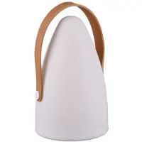 TRIO Lampe Décorative DExtérieur Haïti Rvb Batterie