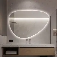 Fenome Delafon Miroir de salle de bains "Organique" avec éclairage LED variable & antibuée - 60 cm