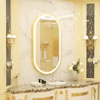VRYGLE Miroir ovale avec éclairage : miroir mural LED 50 x 100 cm, anti-buée, miroir lumineux à intensité variable 3000 K/4500 K/15000 K, fonction mémoire