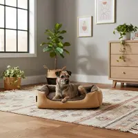 Belviona Lit pour chien avec coussin réversible douillet, facile d'entretien & antidérapant, couchage confortable, 60x48 cm, beige/marron