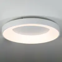 Alpinaluz Plafonnier LED Design 40W circulaire métal Ø50 cm 3000K-4000K-6000K au choix Pilote Philips 5000lm CRI 85 pas de scintillement