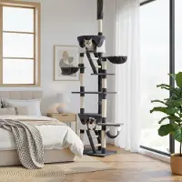 Belviona Arbre à chat XXL avec tendeur de plafond, jeu & soin des griffes à la perfection, hauteur 230-250 cm, gris/blanc