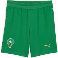 Puma Unisexe, Bas de sport, FRMF Shorts Replica Jr (140), Vert, Or, Beige