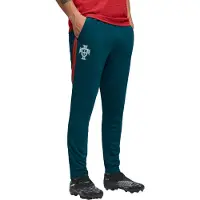 Puma Portugal 25/26 Training Pants Bleu L Homme