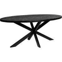 Zita Home Table de salle à manger ovale 190cm vrai bois massif - Noir - avec structure en métal