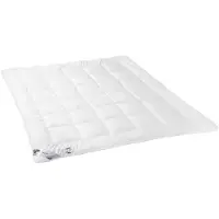 Sonstige Verlage Couverture antiallergique 155x200 Microfibre toute l'année 1120g blanc AMZ