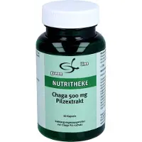 11 A Nutritheke GmbH CHAGA 500 Mg PILZEXTRAKT KAPSELN, 60 St KAPS