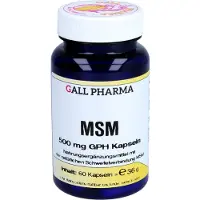 Hecht Pharma GmbH Geschäftsbereich Handelsware MSM 500 mg GPH Kapseln, 60 St KAP