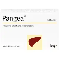 Köhler Pharma GmbH Pangea, 60 pièces KAP