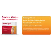 Wobenzym immun comprimés gastro-résistants 60 pc