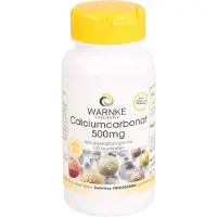 WARNKE CARBONATE DE CALCIUM 500, 100 St KTA