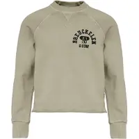 G-Star D29657-01 Sweatshirt Gris 16 Years Garçon