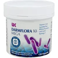 UK-Naturprodukte Ute Keil UK Flore intestinale 10 Mega gélules pour un système immunitaire stable, 120 gélules