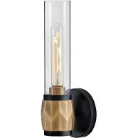 HINKLEY Elstead Ellison Wandleuchte E27 Schwarz mit Heritage-Messing Glas klar IP44 (E27)