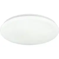 REALITY IMPORT Plafonnier Cetus blanc avec fonction RGB