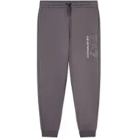 EA7 pour homme. 7M001325_AF10377 Pantalon de visibilité Gris (XL), Casuel, Sport, Sportswear, Multisport, Polyester, Éco-cuir