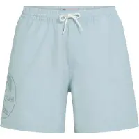 O'Neill O´riginals Cali Ocean 16´´ Swimming Shorts Bleu XS Homme