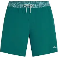 O'Neill Pocket Print 16´´ Swimming Shorts Vert S Homme