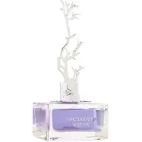 Aurora Scents Deciduous Winter Eau De Parfum pour femme 100 ml