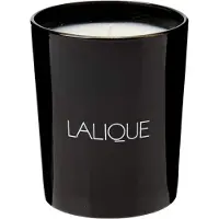 Lalique Sandalwood 190g Candle Clair