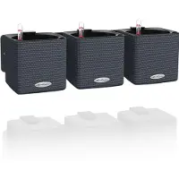 Lechuza 3 pcs Jardinières Green Wall Home Kit Ardoise