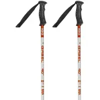 Gabel R Alux Junior Poles Multicolore 90 cm Garçon