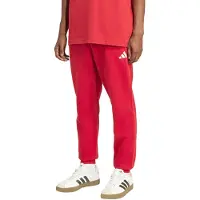 Adidas Hommes, Bas de sport, Essentials Feelcozy Men's Pants Red KC0915 (M), Rouge