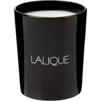 Lalique Figuier Amalfi - Italy Bougie Parfumée 190 G