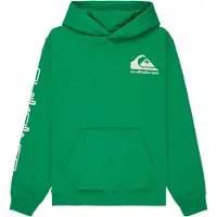 Quiksilver Omni Logo Hoodie Vert 8 Years Garçon