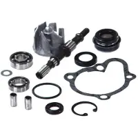 Vicma Fs-136 Water Pump Rebuild Kit Argenté