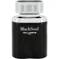 Ted Lapidus Blacksoul 50ml Eau De Toilette Gris Homme