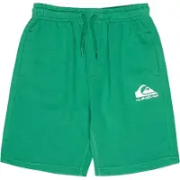Quiksilver Easy Day Sweat Shorts Vert 8 Years Garçon
