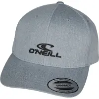 O'Neill Logo Wave Cap Gris Homme