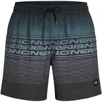 O'Neill Logo Stripe 16´´ Swimming Shorts Gris XS Homme