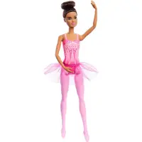 Barbie HRG35, Poupée de mode, Femme, 3 ans(a), Garçon, Fille, 325 mm, 250 g