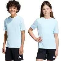 Adidas T-Shirt fonctionnel 'Entrada26' bleu clair / blanc