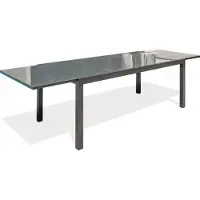 DCB Groupe Table de jardin 12 places en aluminium et plateau verre