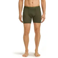 Icebreaker Merino 150 Anatomica Long Boxers Gris XL Homme