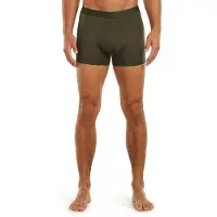 Icebreaker Merino 125 Cool-lite Anatomica Boxers Vert,Gris M Homme