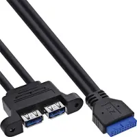 InLine Câble USB 3.2 Gen.1, carte mère interne vers 2x prise USB-A, 0,45 m