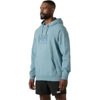 Helly Hansen Sweat à Capuche Logo