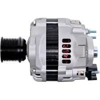 Hella Alternateur 24 V 130 A Ø 54 mm pour, entre autres, RENAULT TRUCKS