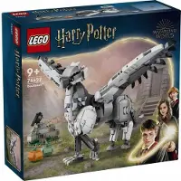 LEGO 76427 - Harry Potter - Hardodziob