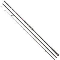 Daiwa Emblem Type R Kw Surfcasting Rod Argenté 4.20 m / 100-225 g